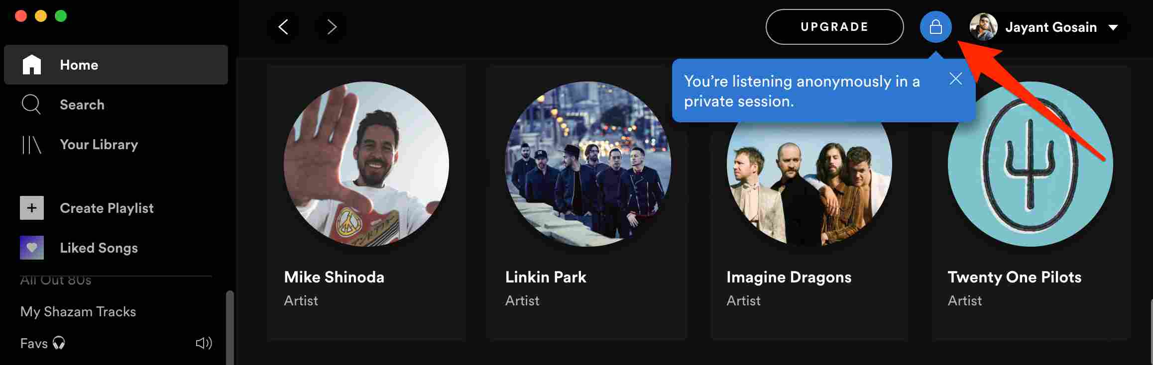 spotify-private-session-activated