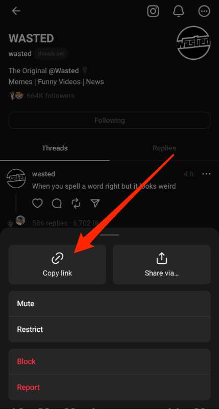 share-someone-threads-profile-link
